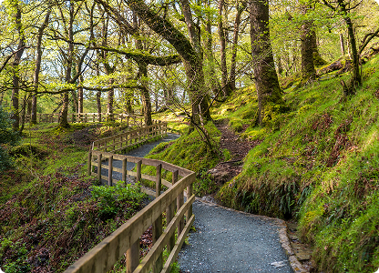 ireland landscapes near dublin walks