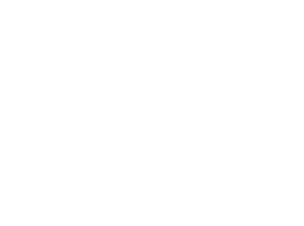 bear races logo large